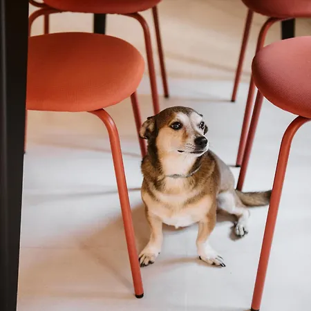 Vicolo Al Castello - Langhe E Monferrato * Costigliole d'Asti