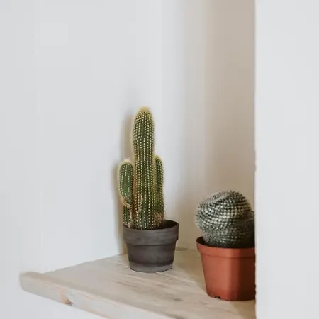 Vicolo Al Castello - Langhe E Monferrato Costigliole d'Asti