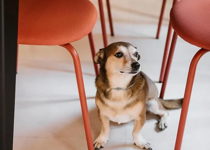 Vicolo Al Castello - Langhe E Monferrato * Costigliole d'Asti